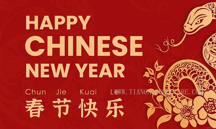 Happy Lunar New Year 2025